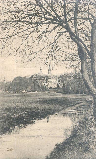 Partie mit Schloss(1903)_Krucza