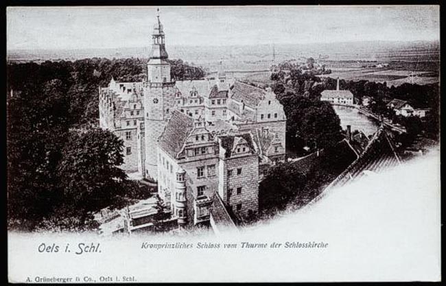 Schloss(1905)_Zamek_widoczny_staw