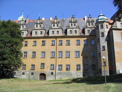IMG_1618