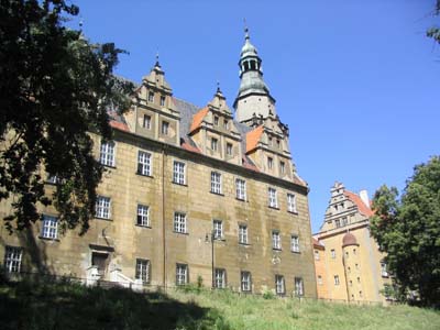 IMG_1625