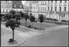 rynek